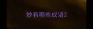 妙有哪些成语
