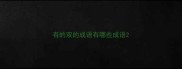 有的双的成语有哪些成语