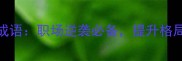 6个霸气六字成语职场逆袭必备提升格局的决策利器