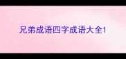 兄弟成语四字成语大全