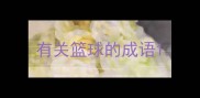 有关篮球的成语