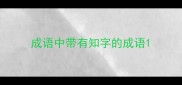 成语中带有知字的成语
