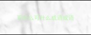 可什么可什么成语成语