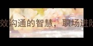 有得有会高效沟通的智慧职场进阶的必经之路