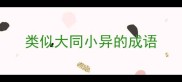 类似大同小异的成语