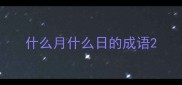 什么月什么日的成语