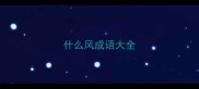 什么风成语大全