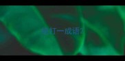 绝打一成语