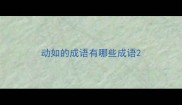动如的成语有哪些成语