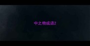 中之物成语