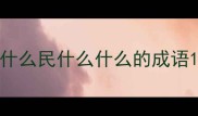 什么民什么什么的成语