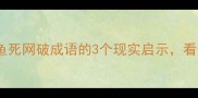 职场逆袭必看鱼死网破成语的3个现实启示看完秒变社交高手