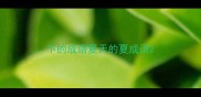 下的成语夏天的夏成语
