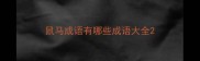 鼠马成语有哪些成语大全