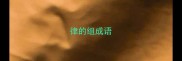 律的组成语