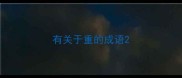 有关于重的成语