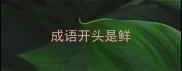 成语开头是鲜