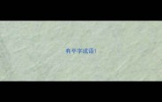 有平字成语
