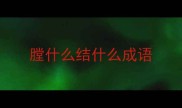 膛什么结什么成语