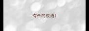 有合的成语