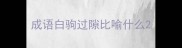 成语白驹过隙比喻什么