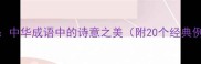 月与花中华成语中的诗意之美附20个经典例句及