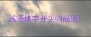 成语桃字开头的成语