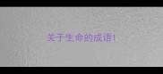 关于生命的成语