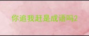 你追我赶是成语吗
