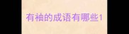 有袖的成语有哪些