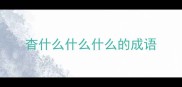 杳什么什么什么的成语