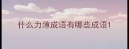 什么力薄成语有哪些成语