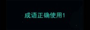 成语正确使用