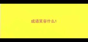成语笑容什么