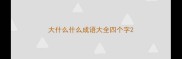 大什么什么成语大全四个字