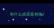 有什么成语是有珠