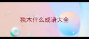 独木什么成语大全
