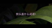 劈头盖什么成语