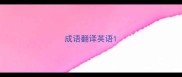 成语翻译英语
