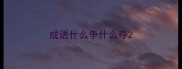 成语什么争什么夺