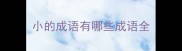 小的成语有哪些成语全