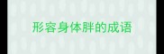 形容身体胖的成语