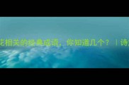 15个与桃花相关的经典成语你知道几个诗意国风美学