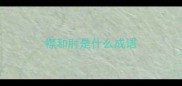 襟和肘是什么成语