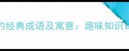 10个与猪相关的经典成语及寓意趣味知识背后的文化密码