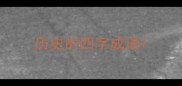 历史的四字成语