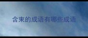 含束的成语有哪些成语