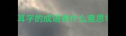 耳字的成语有什么意思