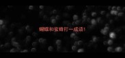 蝴蝶和蜜蜂打一成语