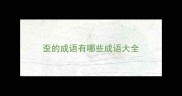 歪的成语有哪些成语大全